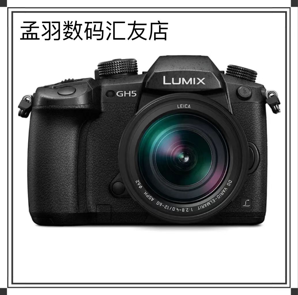 Panasonic GH4 GH5 GH5 GH5S GH6 4K Video Micro Single Camera National SF