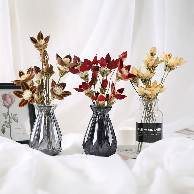 Red noble dry flower bouquet ins Home living room decoration ornaments Natural real flowers diy flower arrangement flower material shooting props