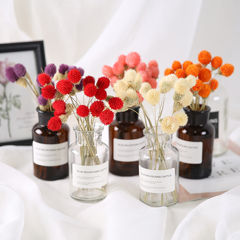 Strawberry dried fruit flower ins Nordic style natural real flower bouquet Home decoration decoration handmade diy shooting props