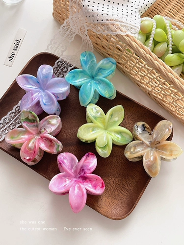 Smudged Frangipani Hair Clip Clip Женский 2025 новый стиль задняя голова блюдо для волос зажима для волос с зажинимым зажимом для волос головной убор
