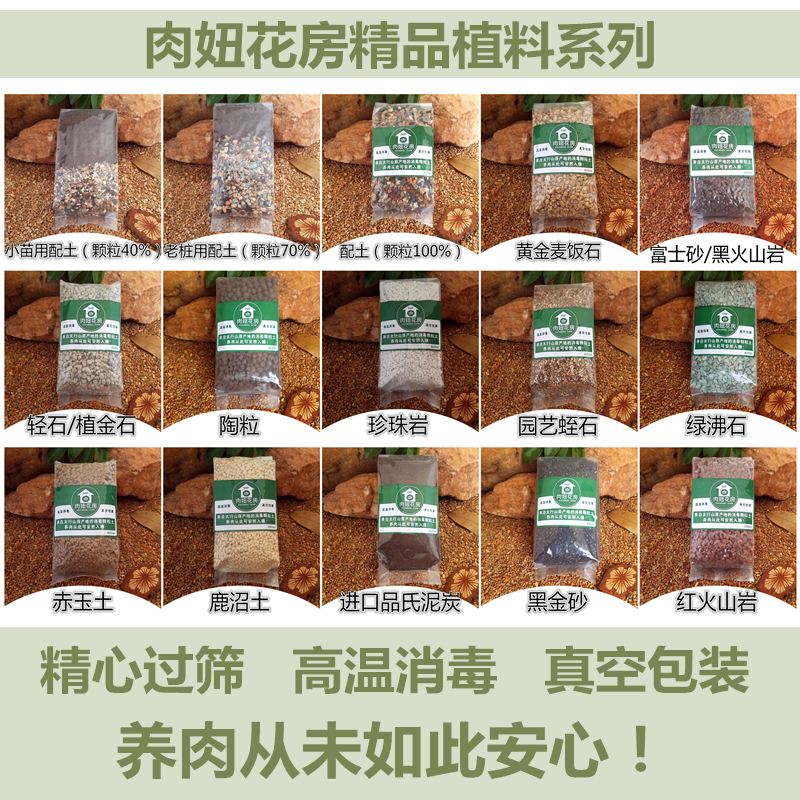 Khuỷu tay thẳng bọ cạp kết hợp mọng nước trồng trong chậu tiện ích thịt thịt làm vườn cung cấp thịt cô gái phòng hoa dụng cụ làm vườn thông minh