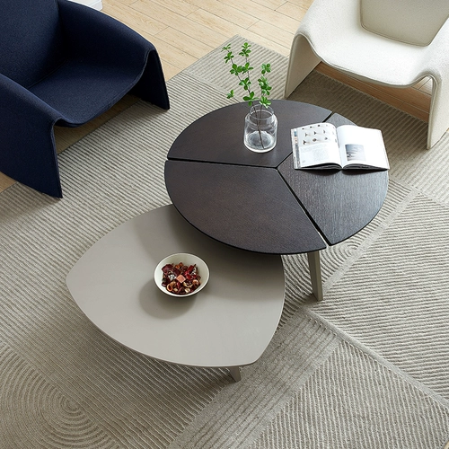 Scynordic Nordic Living Room Designer Designer Coffee Sware использует современную круговую комбинацию досуга