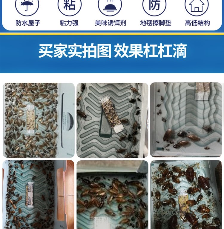 bình xịt diệt muỗi 6,9 nhân dân tệ 10 bẫy squatter 家用 家用 nhà đầy đủ tổ kiến ​​bò sát phiến bò sát e - Thuốc diệt côn trùng bình xịt muỗi ruồi