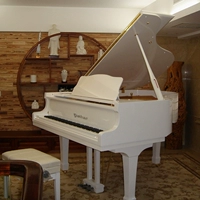 Đàn piano tam giác ngang 158 loại là một biểu tượng thanh lịch và quý phái! Túi hàng hiệu mới để bảo hiểm nhà trong mười năm roland rp 102