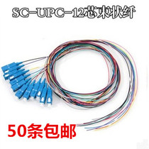 Boutique SC to SC square head 12-core 12-color single-mode ODF welding disc beam fiber optic jumper pigtailfabricated fiber optic PIGTAILFABRICATED fiber optic PIGTAILFABRICATED fiber