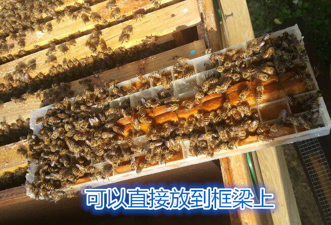Feeder Feeder Bee Feed Feeding Powder Box Pollen Box Bee Feeder
