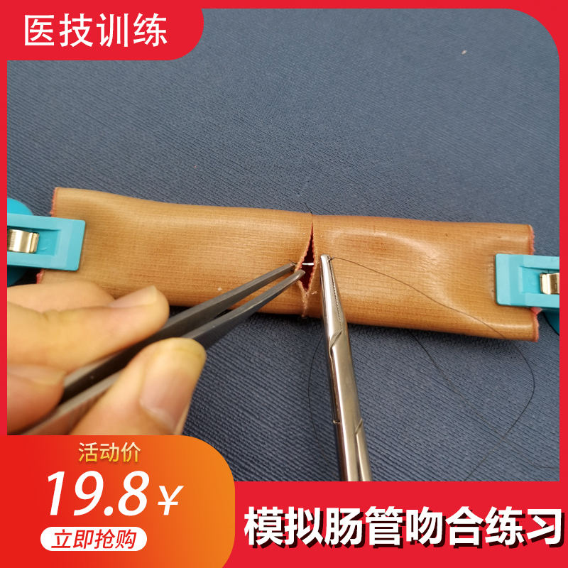 Intestinal Anastomosis Training Model, Laparoscopic Skills Suture Practice Mold, Medical Teaching Tool and Equipment Set