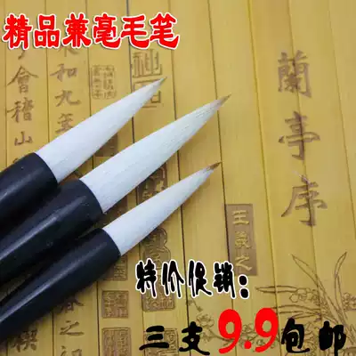 Special promotion Shan Lian Lake Pen Wonderful pen flowers and hair brush large, medium and small three calligraphy student brush