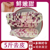Now remove 10 peeled farmhouse Self-seed fresh great corn stick Subei edible flower sticky sweet glutinous vacuum sticky and sweet