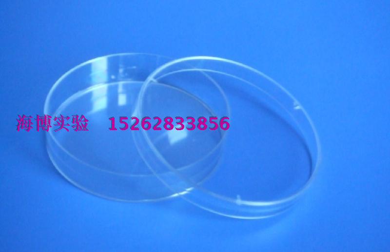 海博实验  60mm培养皿  60mm一次性塑料培养皿  10个/卷