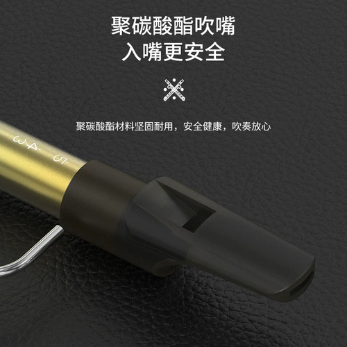 Ученые с чешуйками, дуйин, та же самая скользящая флейта, профессиональная блюда галстука флейта брат Такоя, Старая шестерка