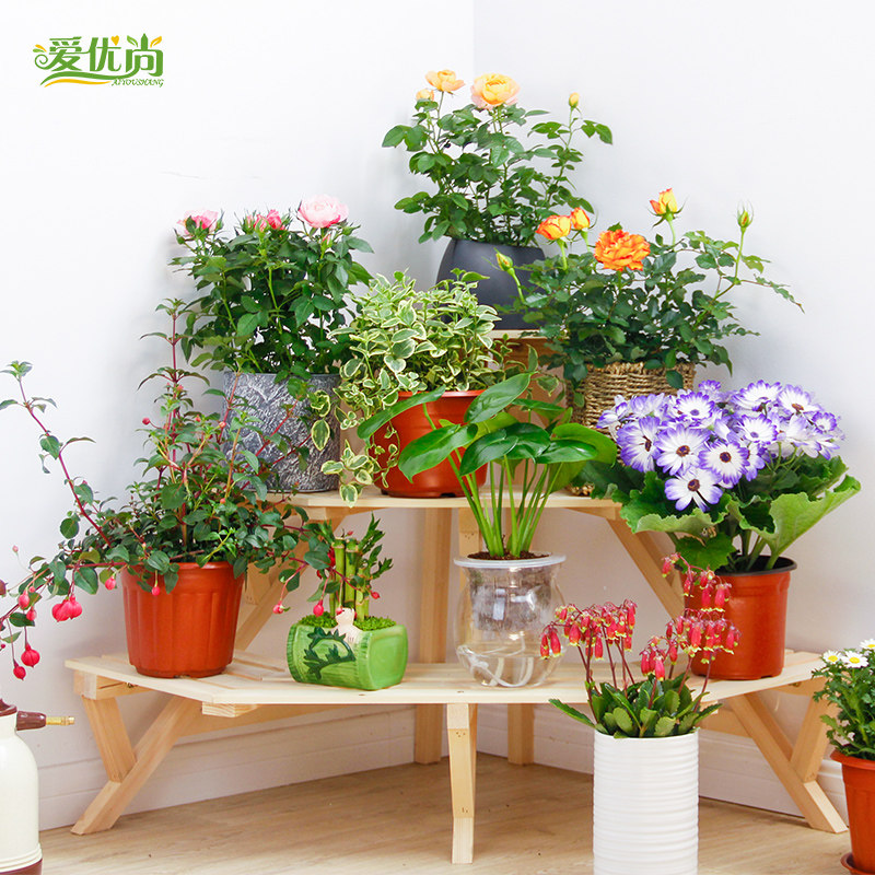 ����������ԭʵľ���ζ�㻨��