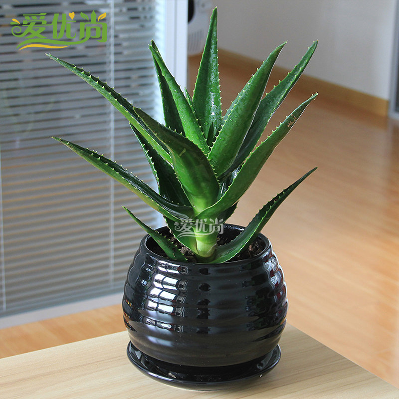 �������ļ��辰s127