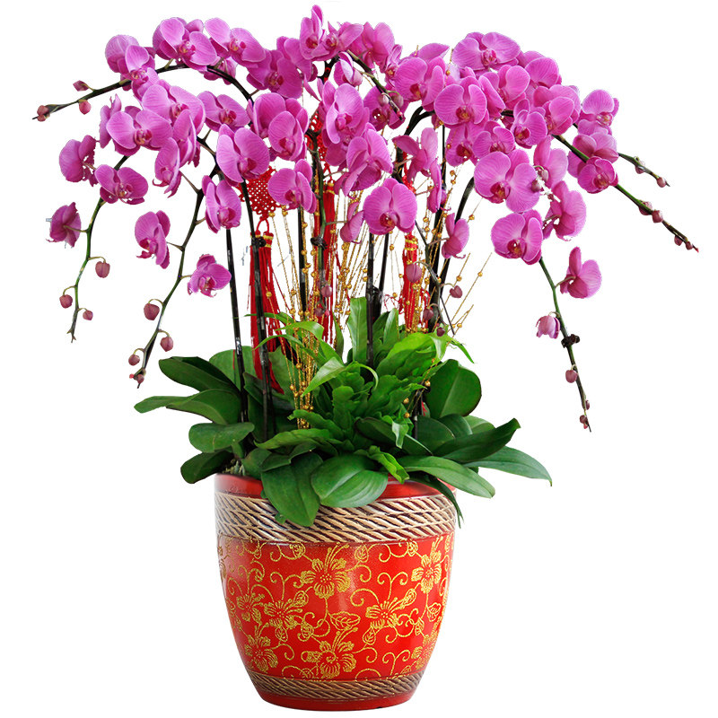 �����к���������