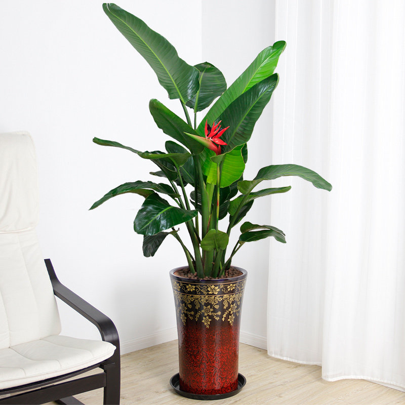 �����д���������s227