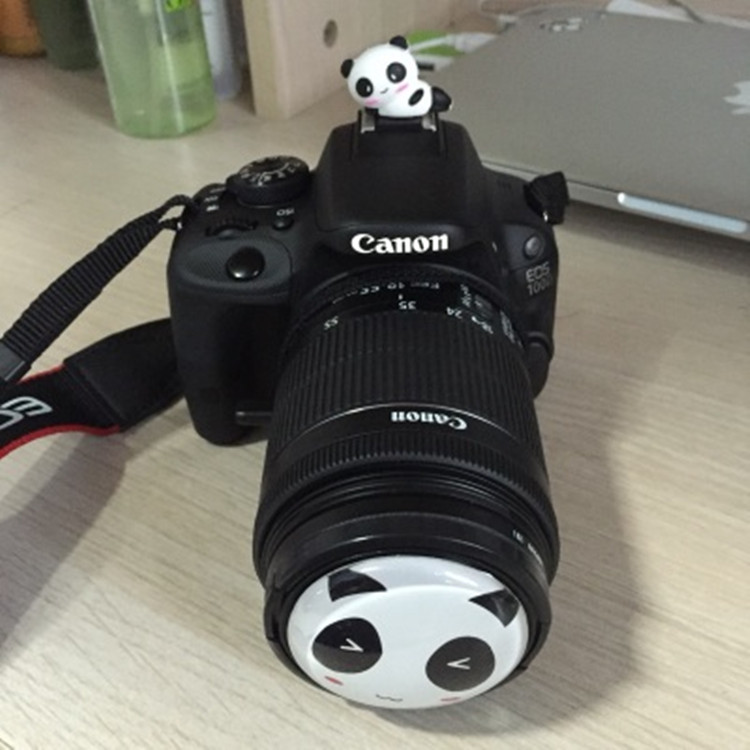 Máy ảnh DSLR Canon 600D 700D 760D 800D 77D 18-135 67mm - Phụ kiện máy ảnh DSLR / đơn lens canon chụp chân dung và phong cảnh