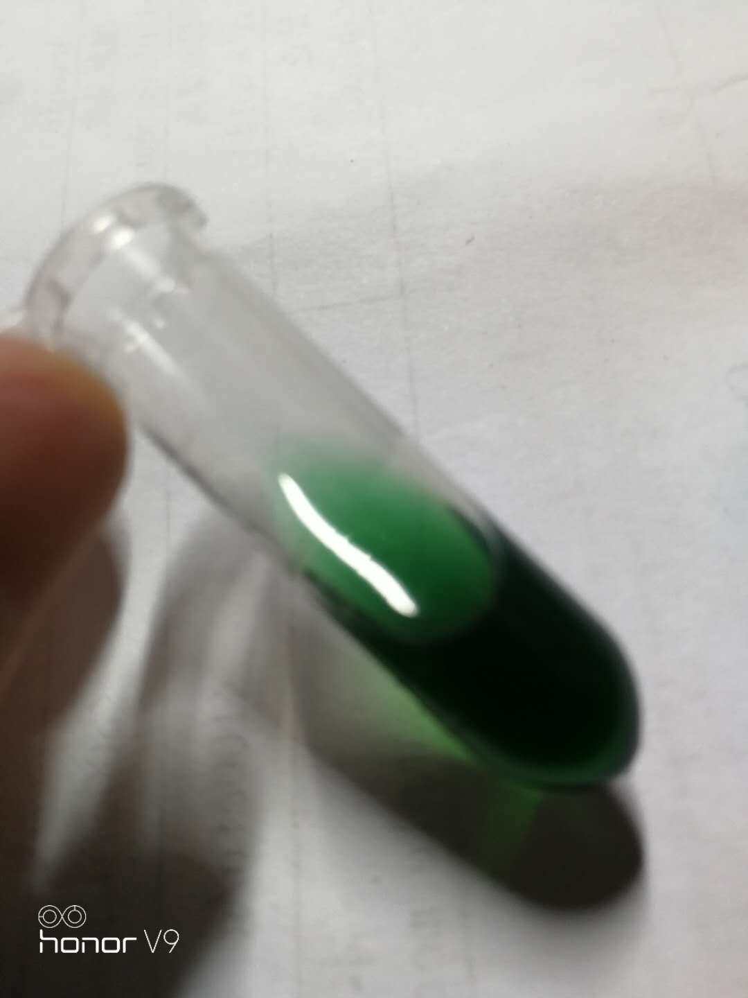 Corsican floret Inulin essential oil green certified organic 202111