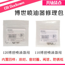 EFI Dr 110 Injector repair kit 120 Steel ball injector seal ring 177 Nozzle gasket Oil seal valve
