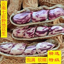 (Raw and cooked optional)Selected premium Yunnan multicolored peanuts can be grown colorful wildland peanuts with shell 2 kg