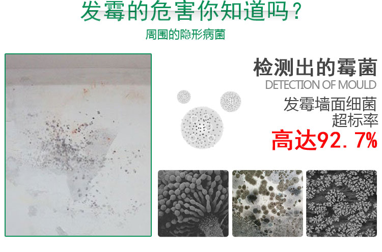 vien tay long may giat Mua 2 tặng 1 loại bỏ nấm mốc tường miễn phí diệt nấm mốc nấm mốc nấm mốc nấm mốc làm sạch đồ nội thất tường trắng - Trang chủ mua nước tẩy nhà vệ sinh