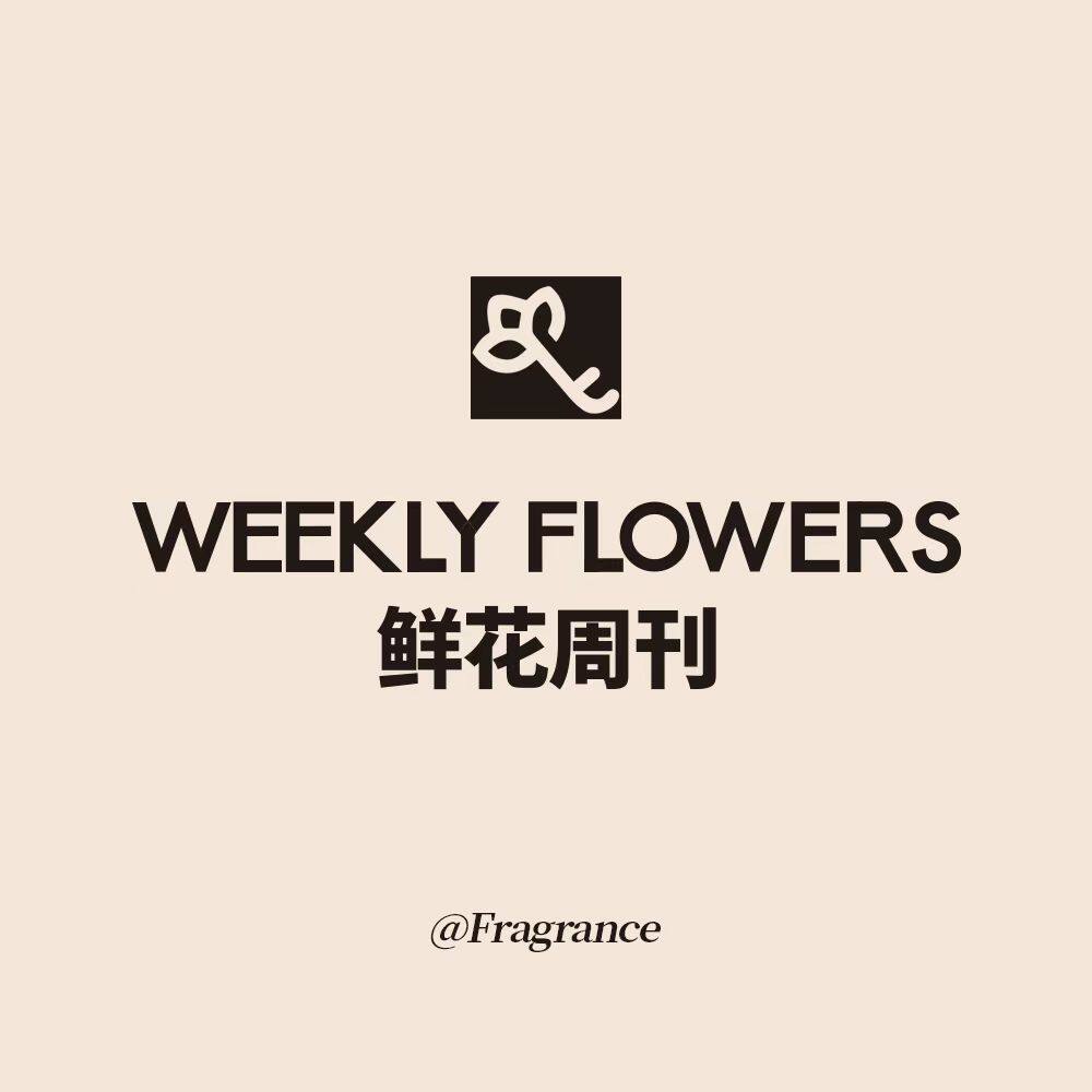 鲜花周刊WEEKLYFLOWERS