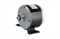 Electric car tricycle motor Little Flying Pigeon battery car motor DC high speed motor 250wXM4-10125B