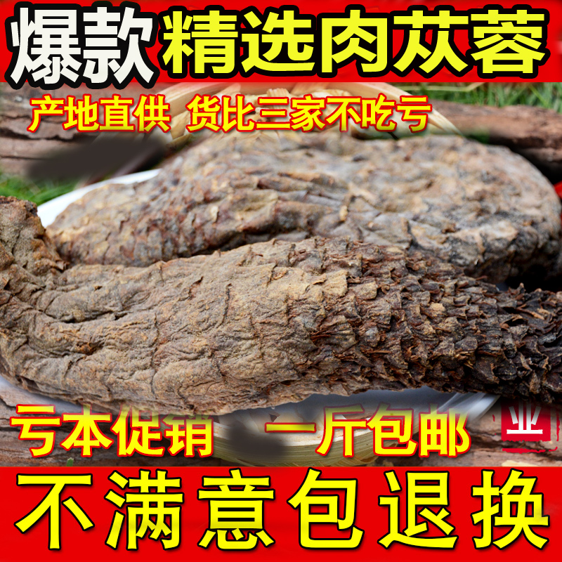 Cistanche Cistanche Dayun Dayun Inner Mongolia Grade Cistanche Alxa Raw Meat Cong Rong 500g Wholesale