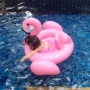 Bé bơm hơi thiên nga trắng flamingo bơi vòng phao cứu sinh trẻ em cưỡi bé bơi vòng ghế 0-4 phao bơi chống lật