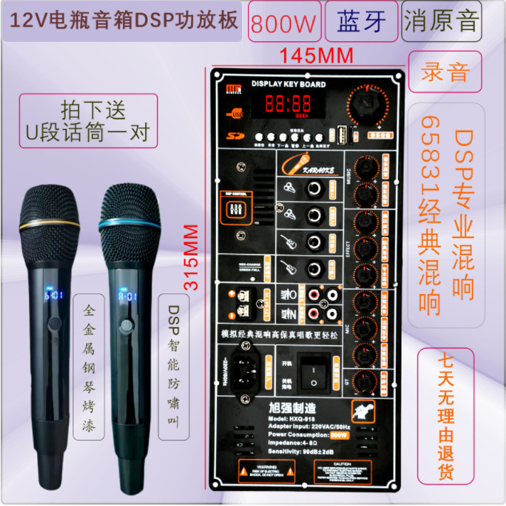 Shanshui Samsui High-Power Square Dance Bluetooth Amplifier Board 12V Battery Noise Cancellation Supports 4 Ohm and 8 Ohm Speakers