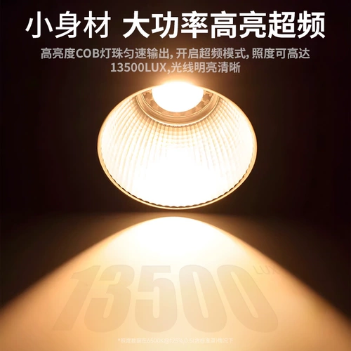 60 Вт Портативный открытый живой вещательный вещательный свет всегда на фотографиях световой световой ручной портативные портретные портреты с пилкой