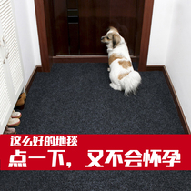 Carpet door cushion in door-to-door toilet doormat for home kitchen absorbent to cut anti-slip footbed