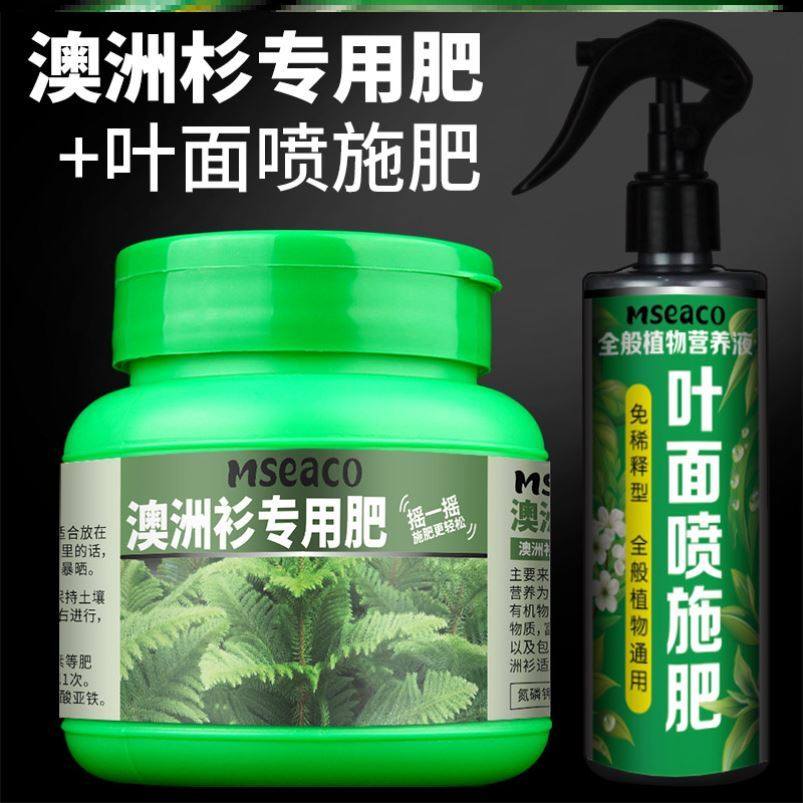 Australian fir special fertilizer hetero-leaf araucaria fertilizer beautiful tower-shaped nutrient solution spray leaf slow-release fertilizer organic fertilizer bonsai