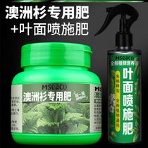 Special fertilizer for Australian fir different-leaf araucaria fertilizer beautiful tower-shaped nutrient solution leaf spray slow-release fertilizer organic fertilizer bonsai