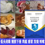 禽王 Пептидная пептидная куриная утка с пептидом и густой голубной птичкой использует антивирусную гриппу Новую городскую эпидемическую чуму Чудовую болезнь качает головой к храпу с куриной медициной