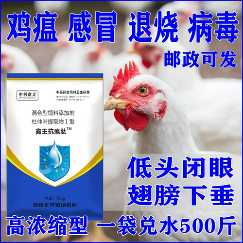 禽王 Пептидная пептидная куриная утка с пептидом и густой голубной птичкой использует антивирусную гриппу Новую городскую эпидемическую чуму Чудовую болезнь качает головой к храпу с куриной медициной