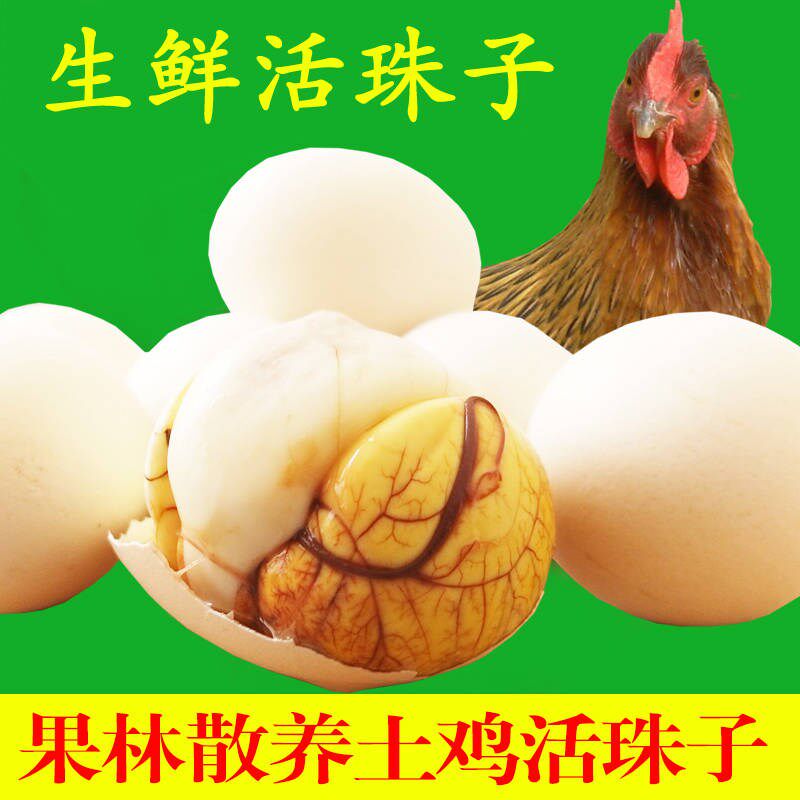 Farmhouse live beads Chicken Embryoids Fresh Delight Eggs Half Chicken Half Egg 13 Born in 20 Multi-Province