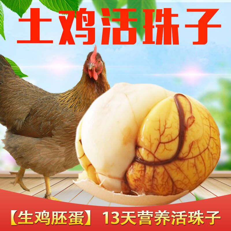 Farm live beads 30 raw half chicken half egg egg egg Wang egg Happy egg Phoenix egg