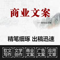 Business plan BP Consulting Feasibility study report PPT Roadshow Business plan Planning plan