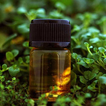 Peppermint Oil 100ml natural pure mint oil pure peppermint