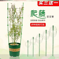 Epiphan shelf bracket fixed flower stand plant bracket support Rod Flower climbing frame gardening Vine bracket flower climbing