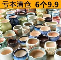 Purple flower pot porcelain wholesale meat plant orchid pot