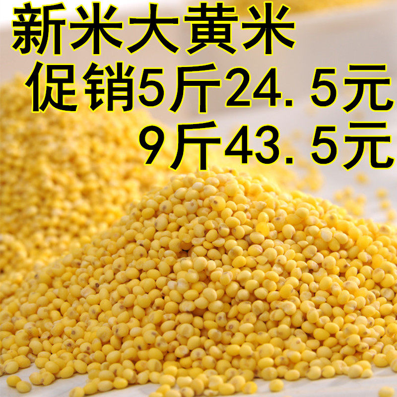 Rhubarb rice farmhouse New rice sticky glutinous yellow rice glutinous millet millet 5 catty of non-Shanxi zongzi staying up small rice porridge celiac