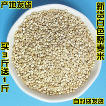 藜麦米代餐泥麦白色即食高原黍麦宝宝婴儿PK青海一级3三色白黎麦
