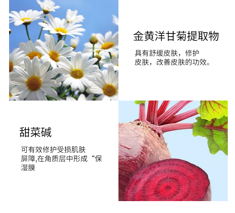 肌膚專用無泡沫潔面乳院裝洋甘菊