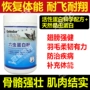 Glad pigeon thuốc [sáu bột protein giun] bổ sung bột protein xương mạnh mẽ lông sáng chim bồ câu cung cấp sức khỏe - Chim & Chăm sóc chim Supplies lồng khướu