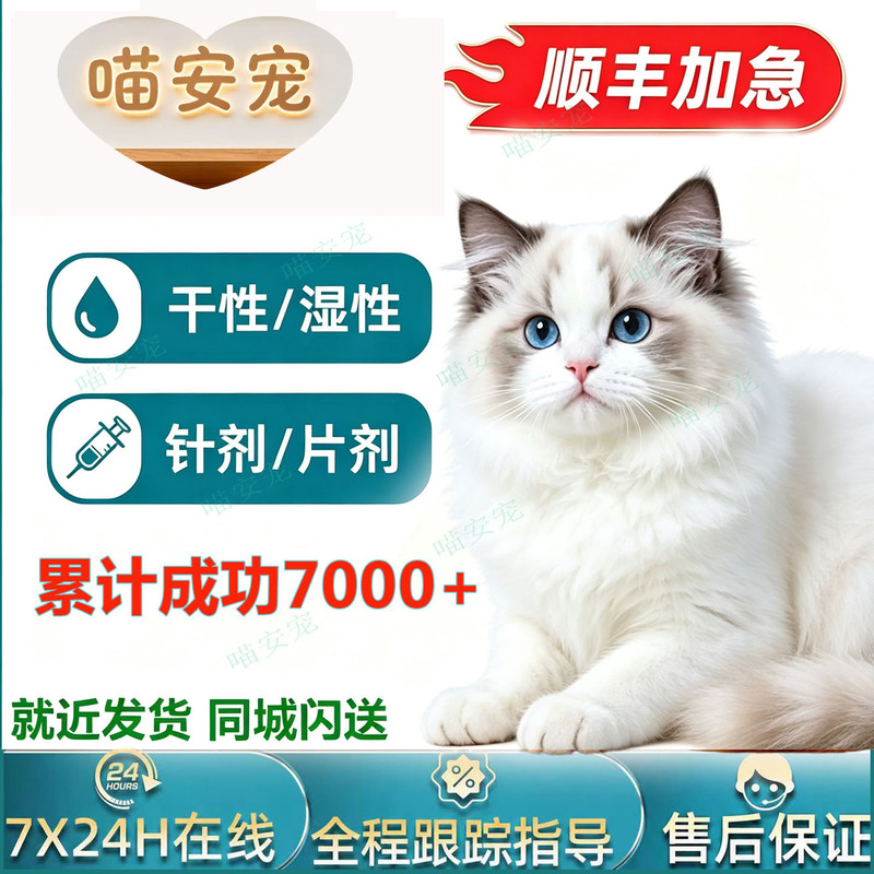 Cat Injections, Dry, Wet, Oily, Water-Based, Oral Tablets, Inhibitors, Nutritional Solutions, Multi-Warehouse Express Delivery