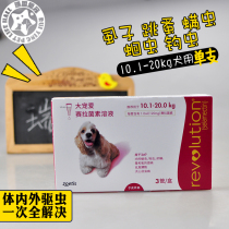 da chong ai medium-sized dog 10-20kg in vitro and in vivo insecticide drops 120mg chu tiao zao lice mites roundworm single