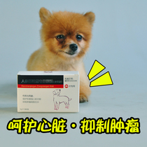 Runpet ginseng stem leaf saponin pet dog heart disease hypertrophy antihypertensive drugs inhibit tumor regulation immunity