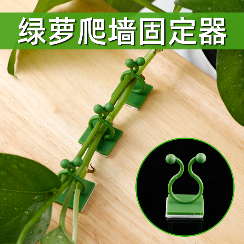Green Radish Wall-Climbing Plant Fixer, Vine Clip, Buckle, Long Vine Clip, Traceless Small Household Wall Clip