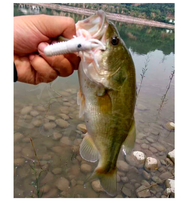 Дорожные суб- приманки 东鼎土豆虫高比重加盐软饵路亚鲈鱼黑鱼小款钓太阳鱼鳟鱼软虫饵 Dongding